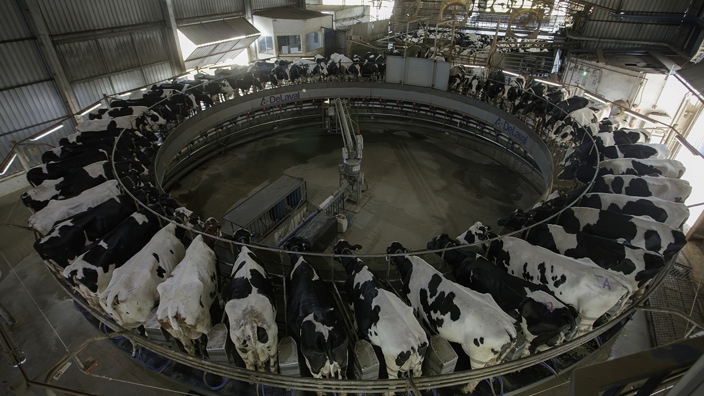 Sustentabilidade permeia ações da Frísia, que completa 100 anos em 2025 