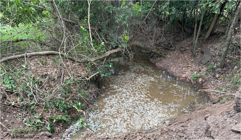 Sitiante é multado em R$ 1,5 mil por usar retroescavadeira e degradar área protegida em Pirapozinho — Foto: Policia Militar Ambiental/Divulgação