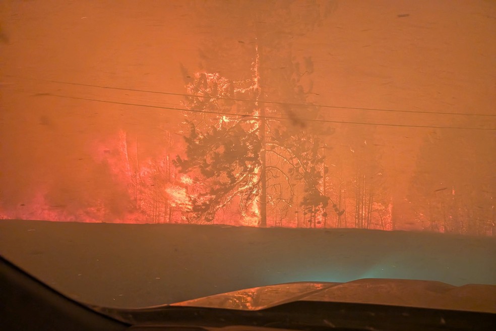 Árvores queimam no incêndio florestal de Bald Range, a noroeste de Summerland, Colúmbia Britânica. — Foto: BC Wildfire Service/Divulgação via Reuters