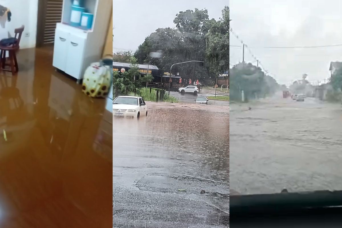 Chuva causa alagamentos em casas e ruas de Campo Grande; cidade registra maior volume do estado em 24h