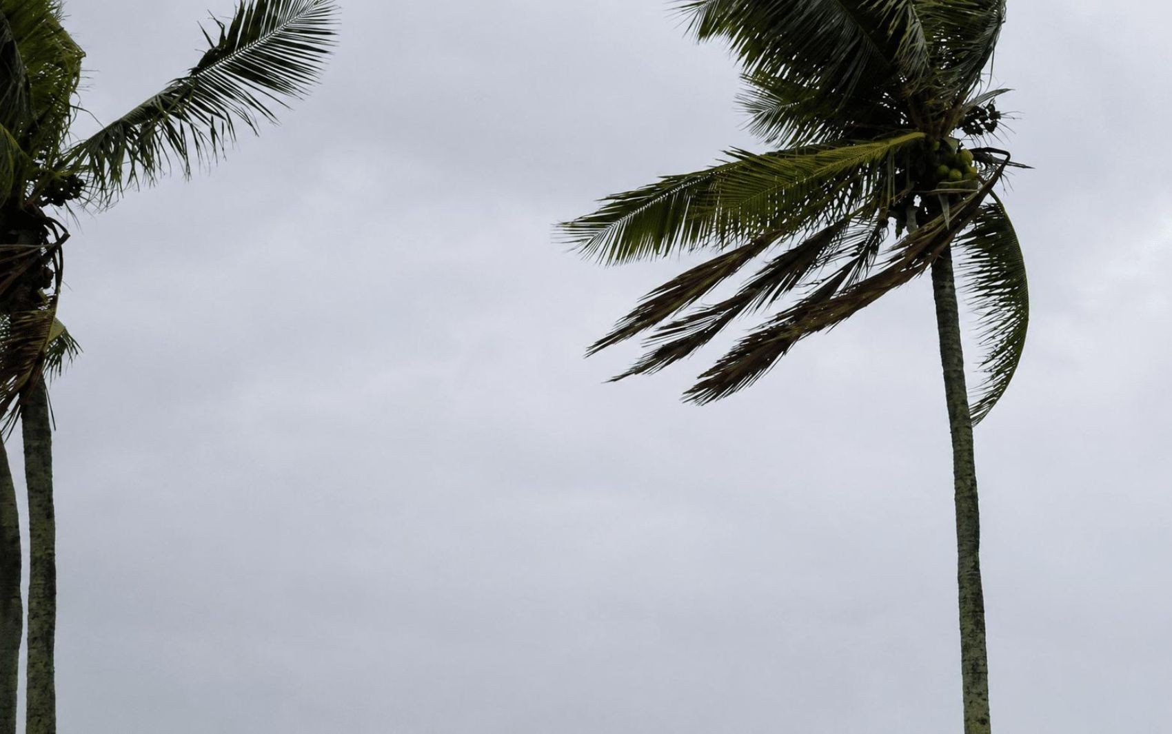 Goiás entra em alerta para vendaval; veja cidades