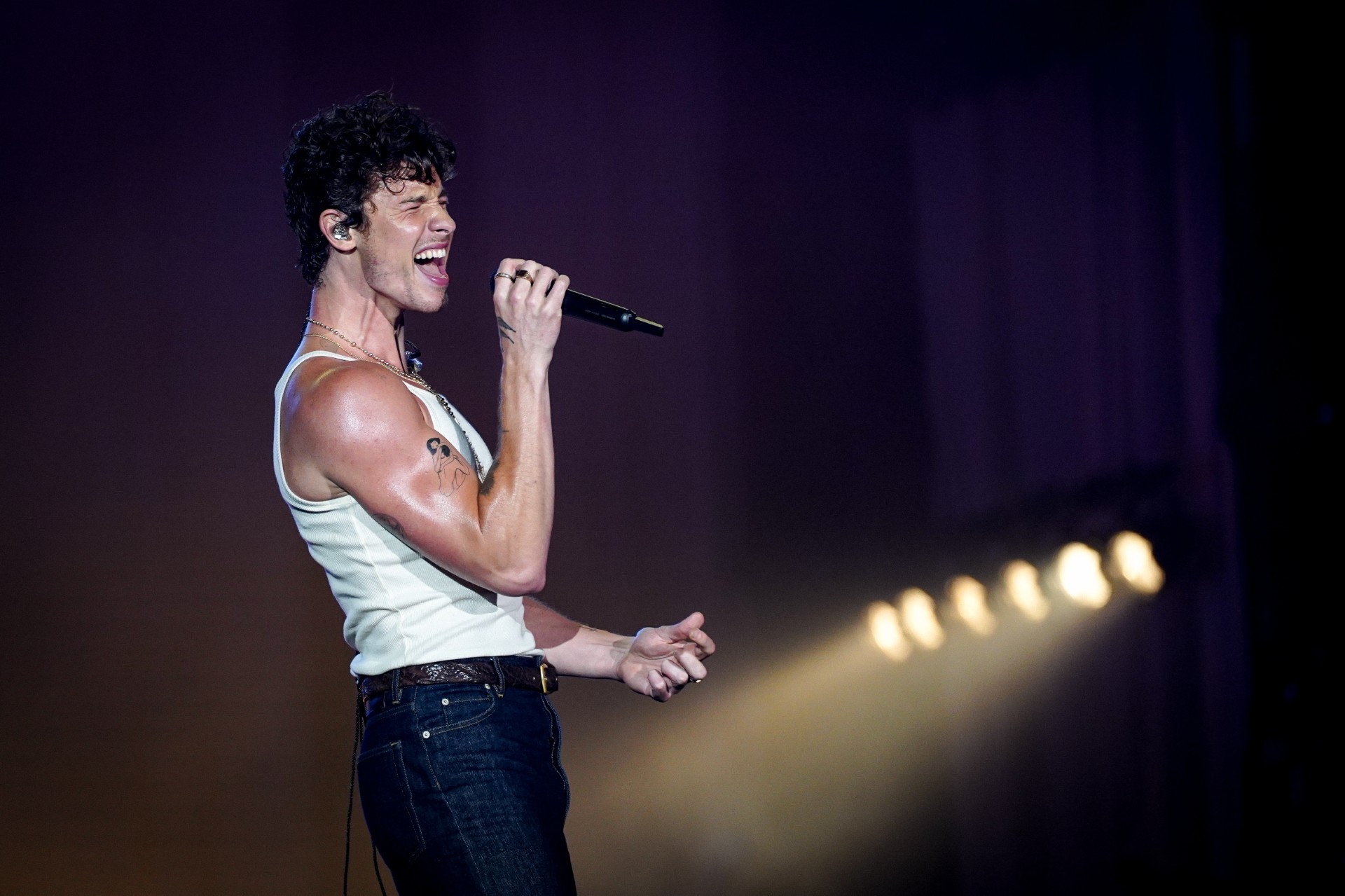 Shawn Mendes volta para o Lolla, meses após tocar no Rock in Rio; show pode ter cover de bossa nova | Lollapalooza 2025