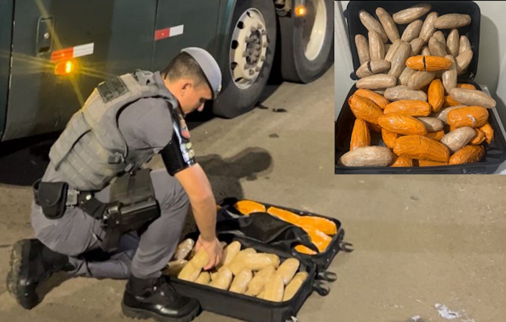Polícia Militar fiscaliza ônibus interestadual e apreende 64 tabletes de skank, em Presidente Epitácio (SP) — Foto: Polícia Militar