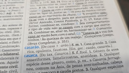 Aumentativos 'incomuns' de cão, gato e nariz viralizam; você acertaria? Faça o quiz e descubra - Professor de língua portuguesa explica que muitos substantivos comuns possuem mais de uma alternativa possível para aumentativo ou diminutivo.