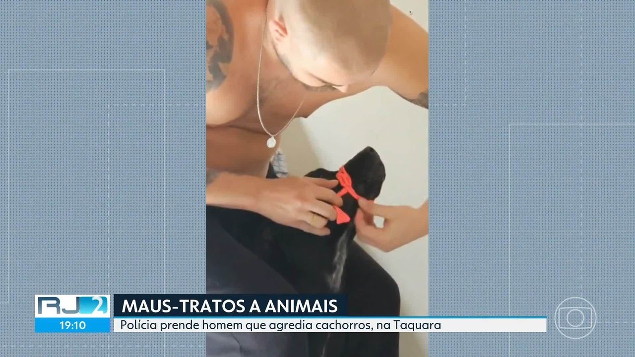 Socos, fita crepe, corda: homem é preso por maus-tratos a seus 7 cachorros na Taquara; VÍDEO