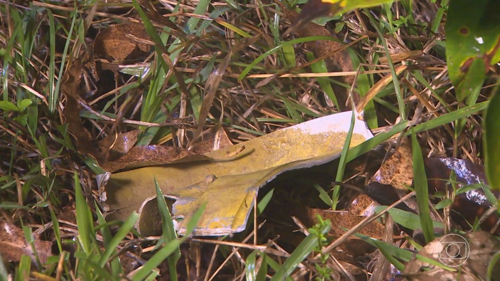 Cinco pessoas morrem na queda de um avio no interior de SP — Foto: Reproduo/TV Globo