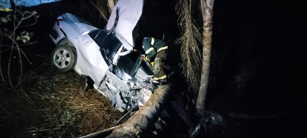 Árvore caiu em cima do veículo após acidente na MG-133, em Piau  — Foto: Corpo de Bombeiros/Divulgação