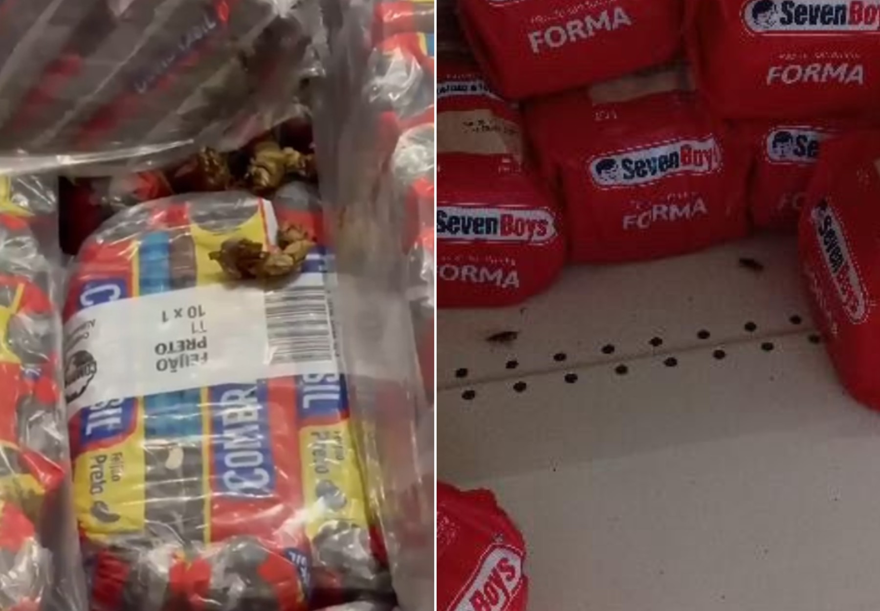 Funcionários mostram baratas e fezes em supermercado de São Pedro da Aldeia: 'Manuseamos alimentos com urina'