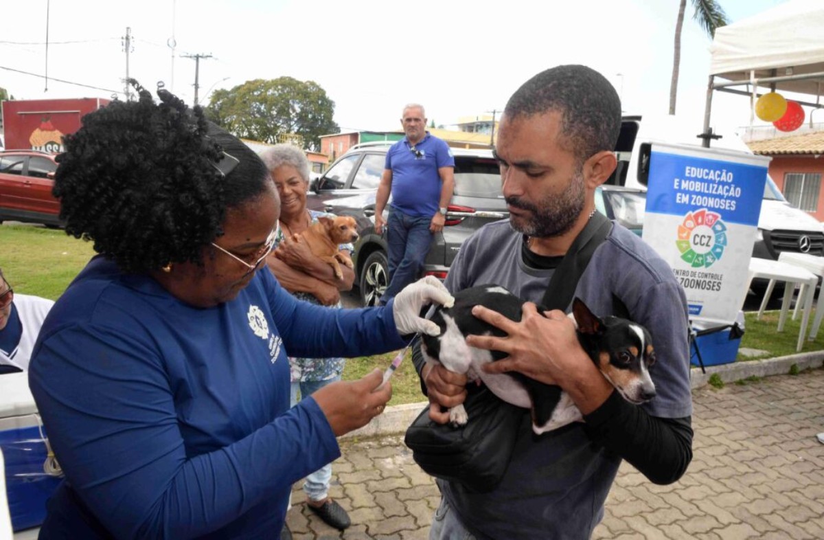 Prefeitura de Salvador promove Dia D de vacinação antirrábica em cães e gatos