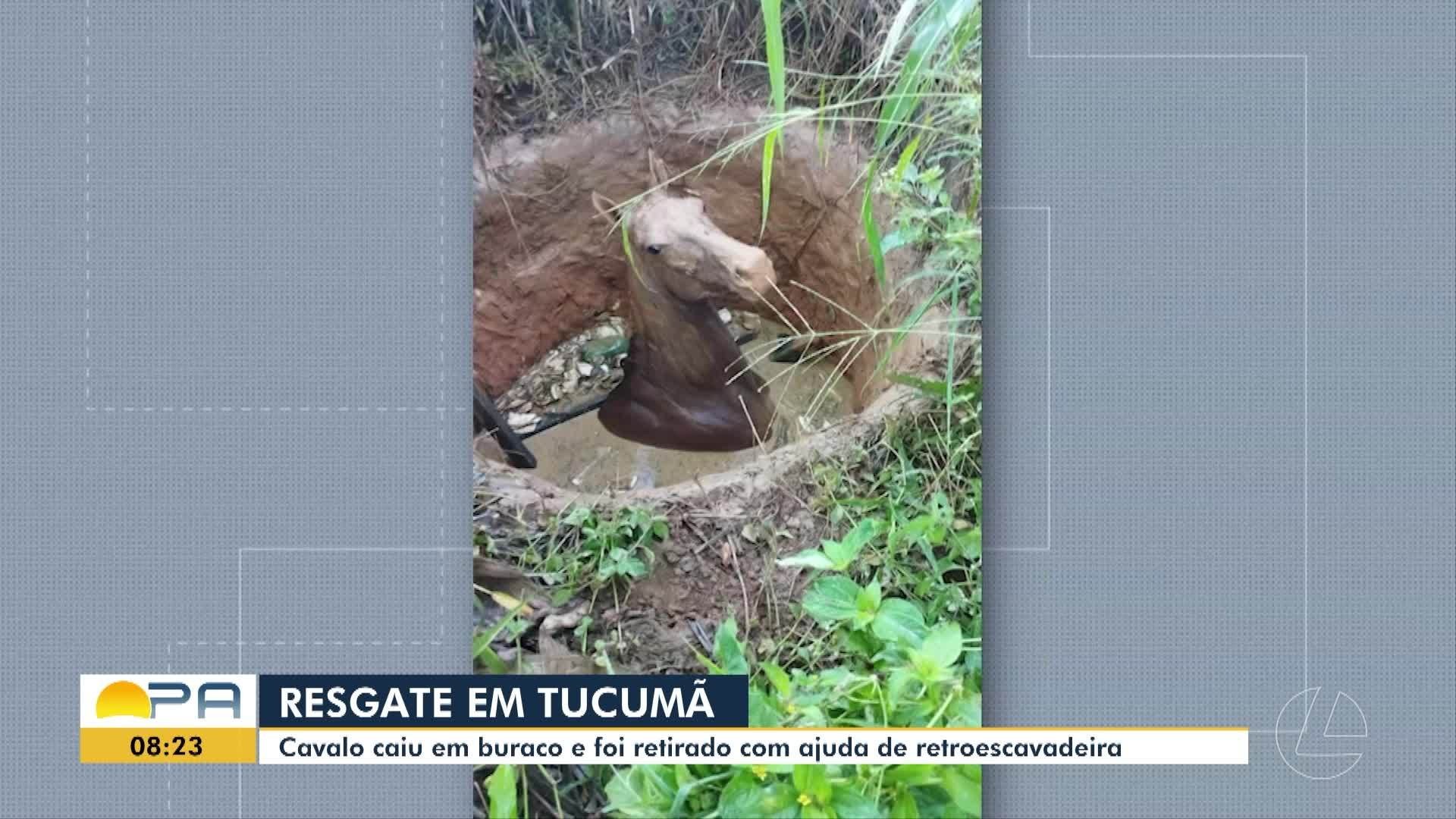 VÍDEOS: BDP de terça-feira, 19 de maio de 2026