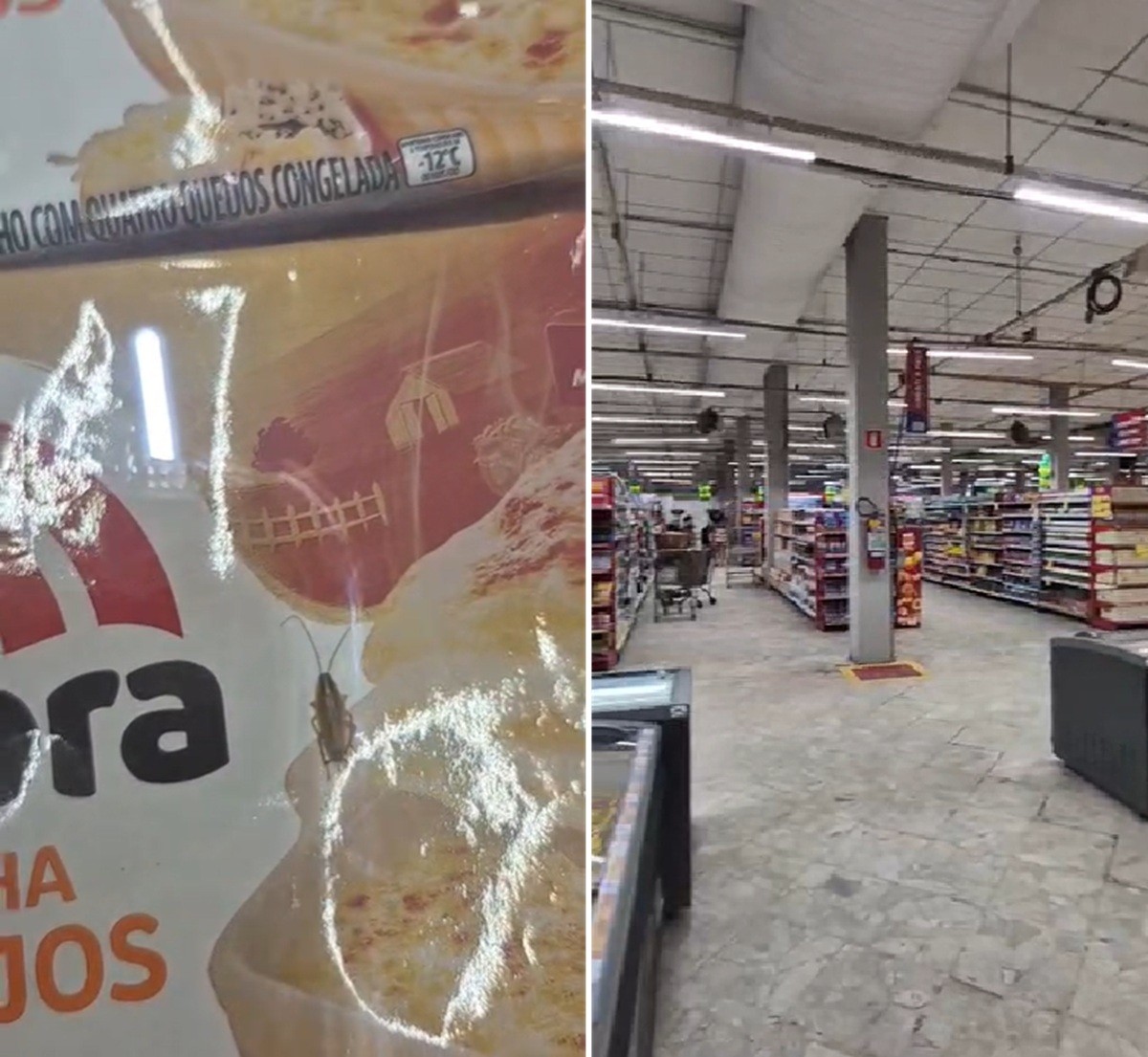 Vídeo mostra barata sobre lasanha à venda em supermercado de Cabo Frio