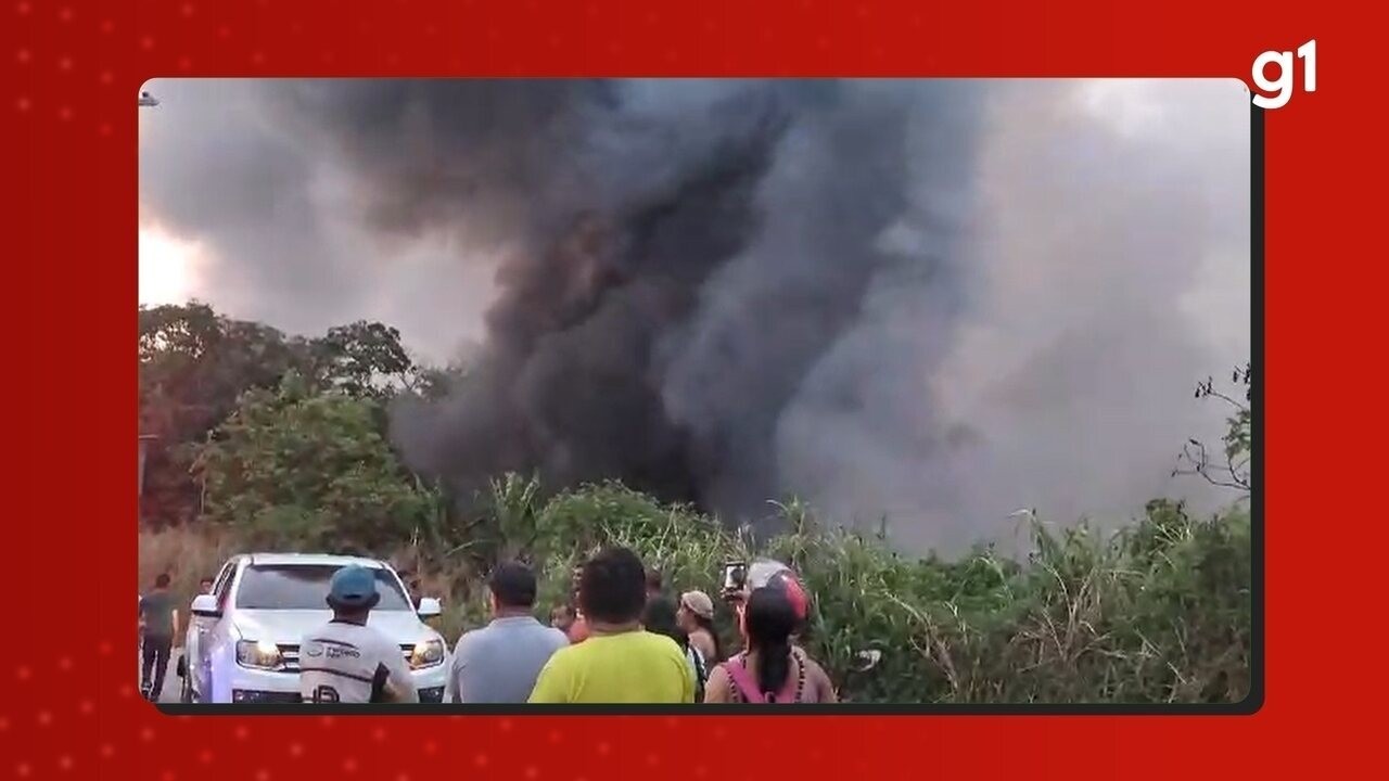 Incêndio de grandes proporções atinge área de mata na Zona Leste de Manaus; VÍDEO