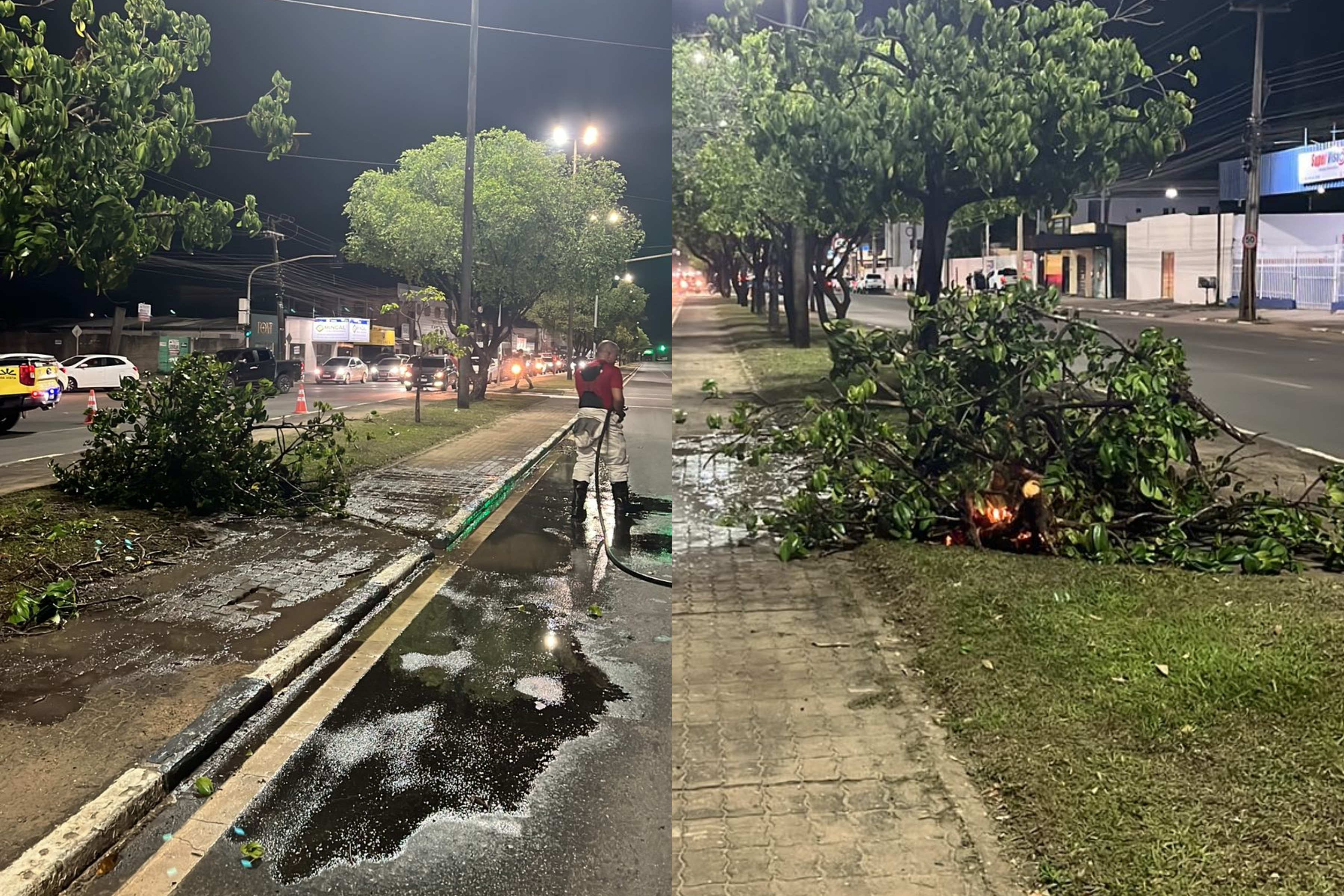 Trecho da Brigadeiro Eduardo Gomes é interditado para retirada de abelhas em Boa Vista
