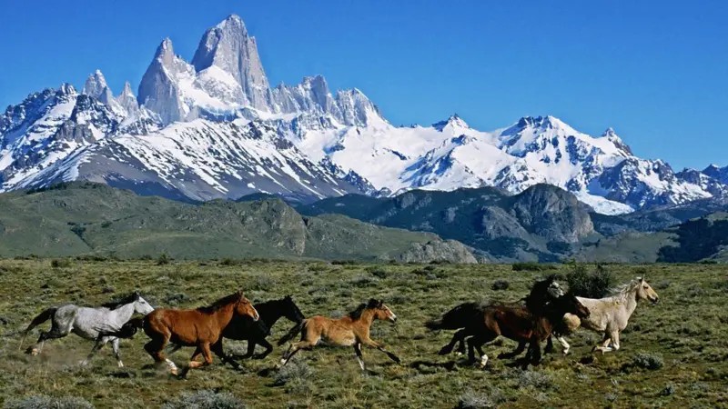 5 lugares parecidos com os EUA para quem quer evitar viajar para o país sob o governo Trump