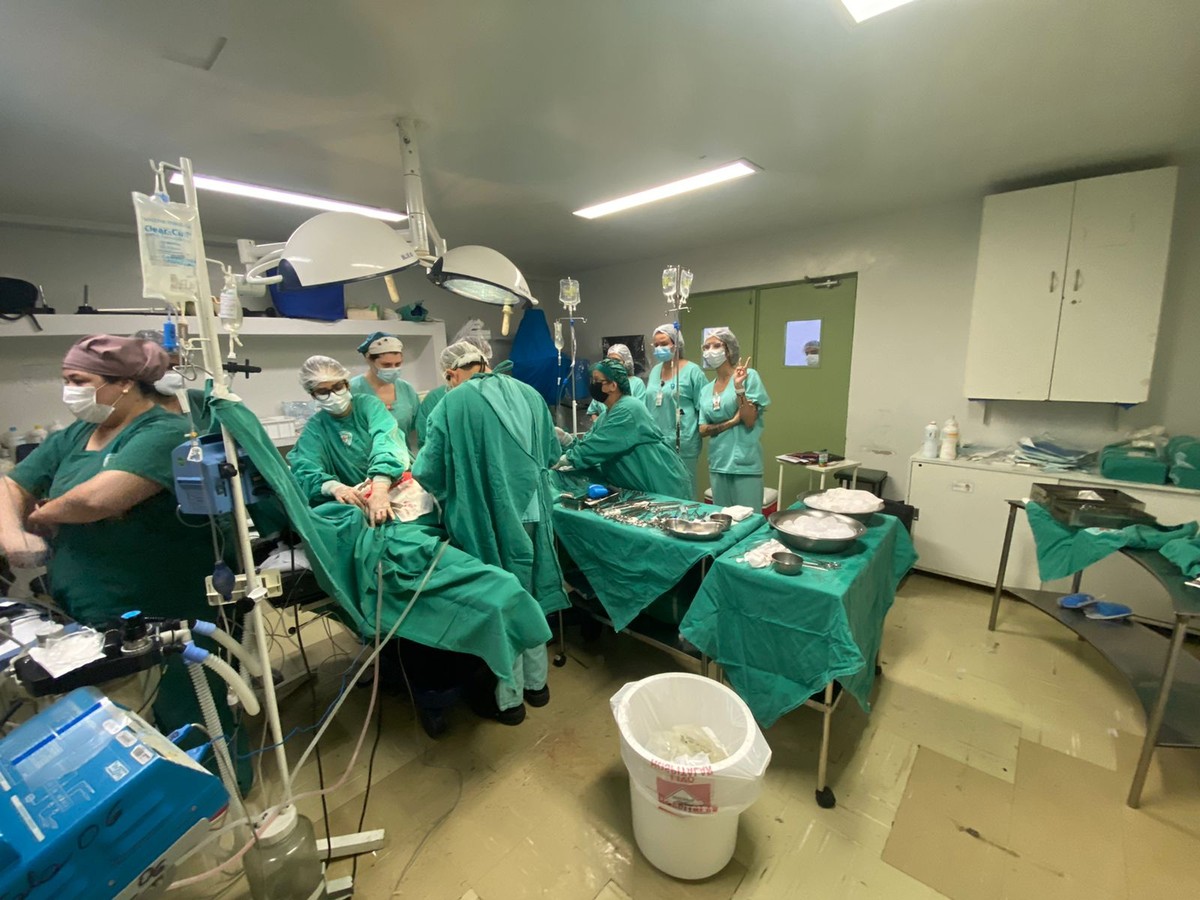 Com apoio do Estado, hospital de Cascavel é habilitado para transplante de  rim