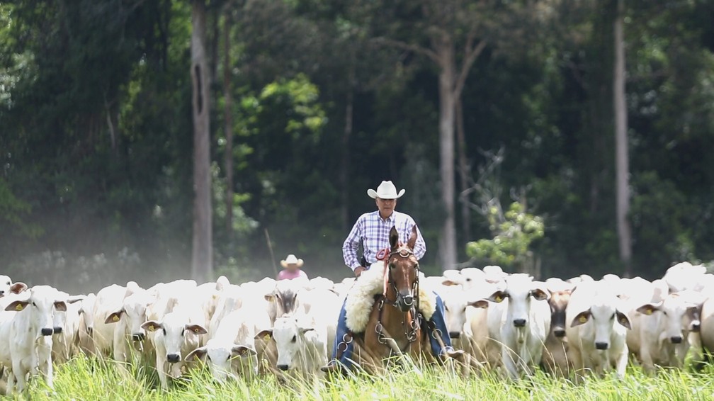 Pecuarista Mauro Lúcio Costa em sua fazenda em Paragominas, no Pará — Foto: Arquivo Pessoal/Reprodução*
