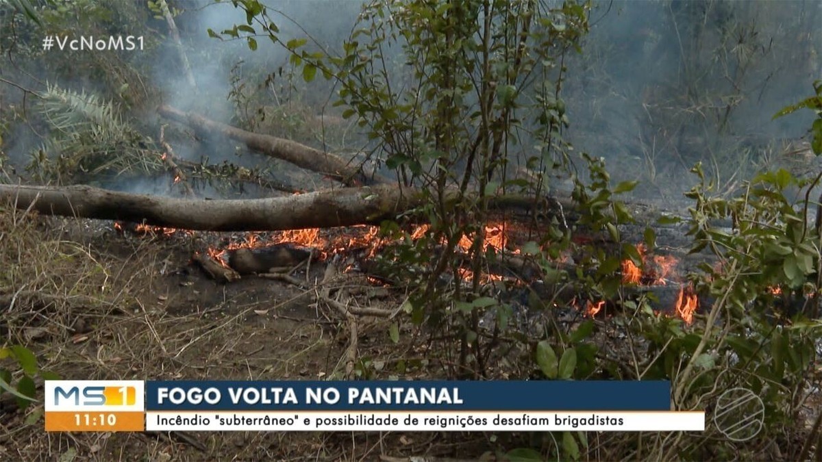 Risco de incêndio 'subterrâneo' mantém força-tarefa no Pantanal