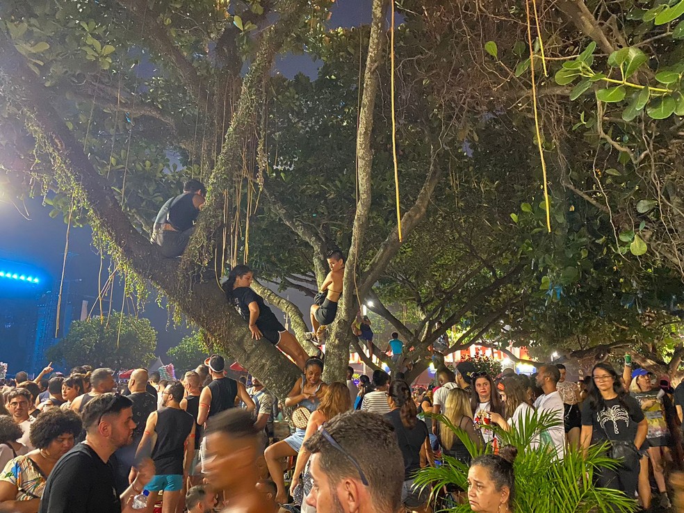 Fãs sobem em árvores para ter melhor visão do palco — Foto: Thaís Espírito Santo/g1 Rio