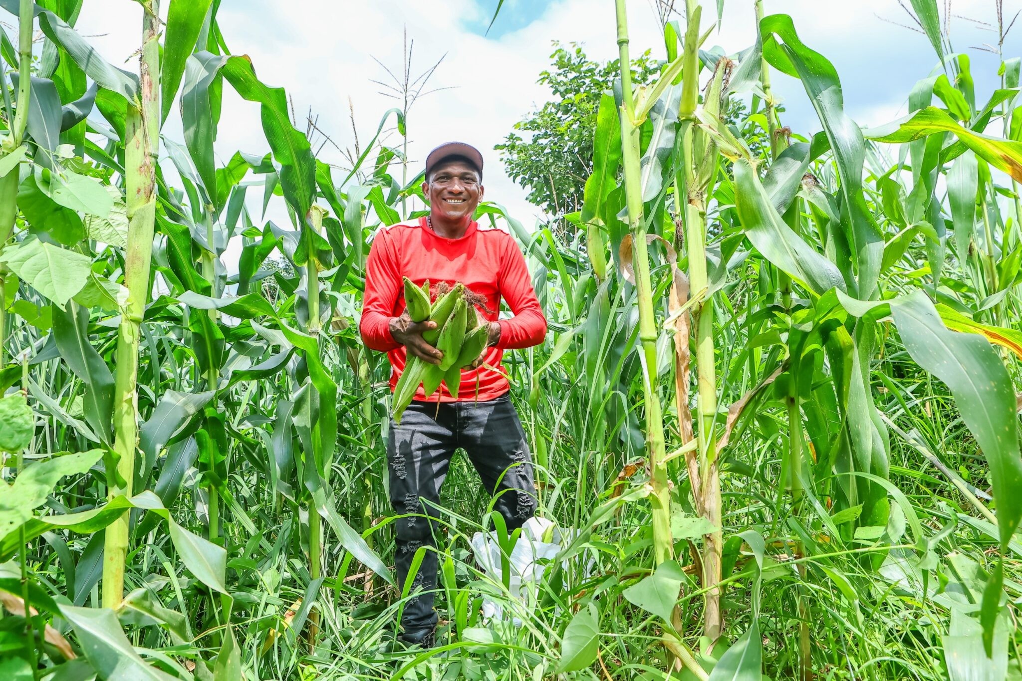 Mais de 68 mil famílias no Piauí vão receber R$ 80 milhões do Garantia Safra