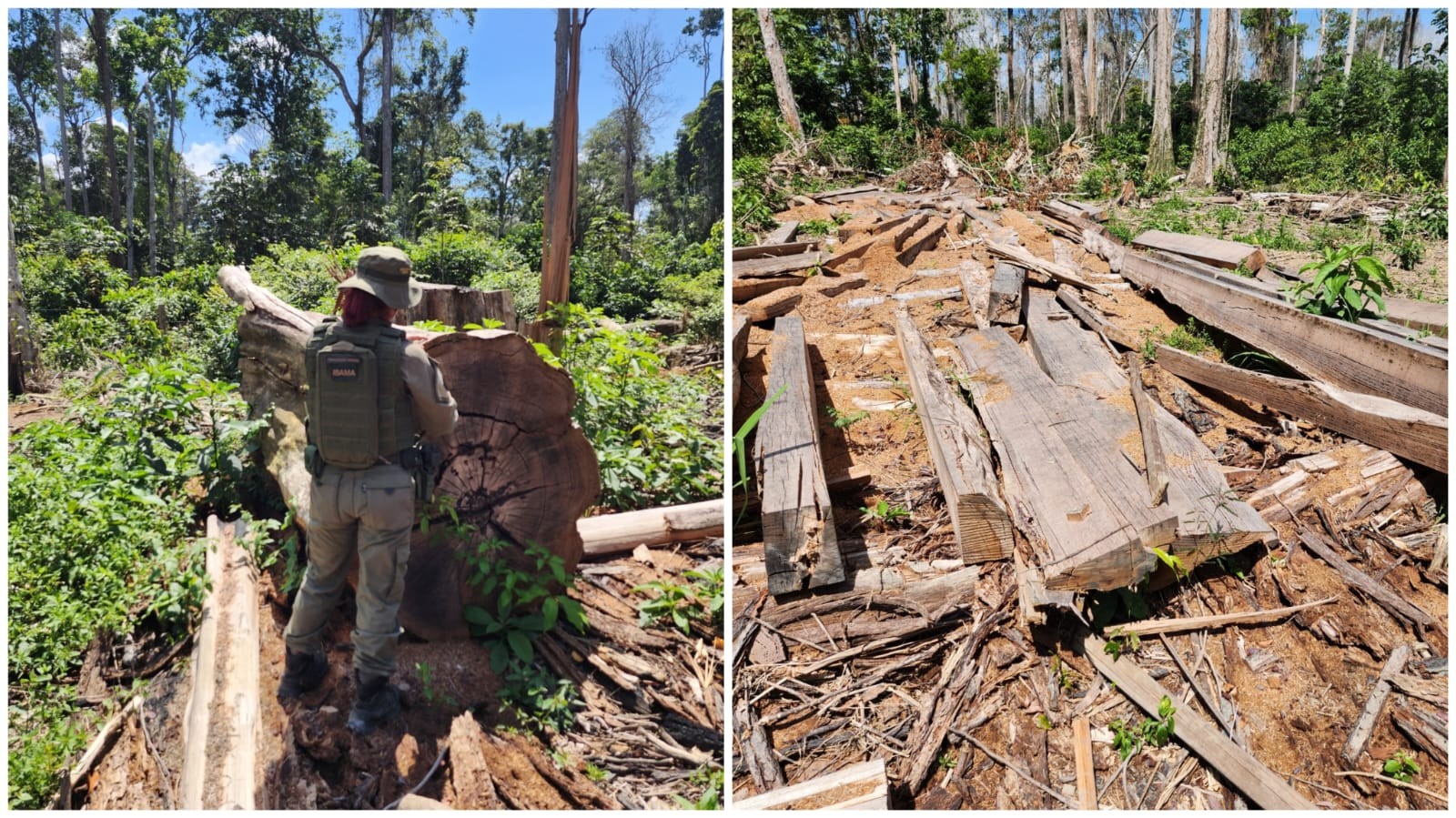 Operação do Ibama no Chapadão embarga 850 ha de terras e aplica mais de R$ 5 milhões em multas