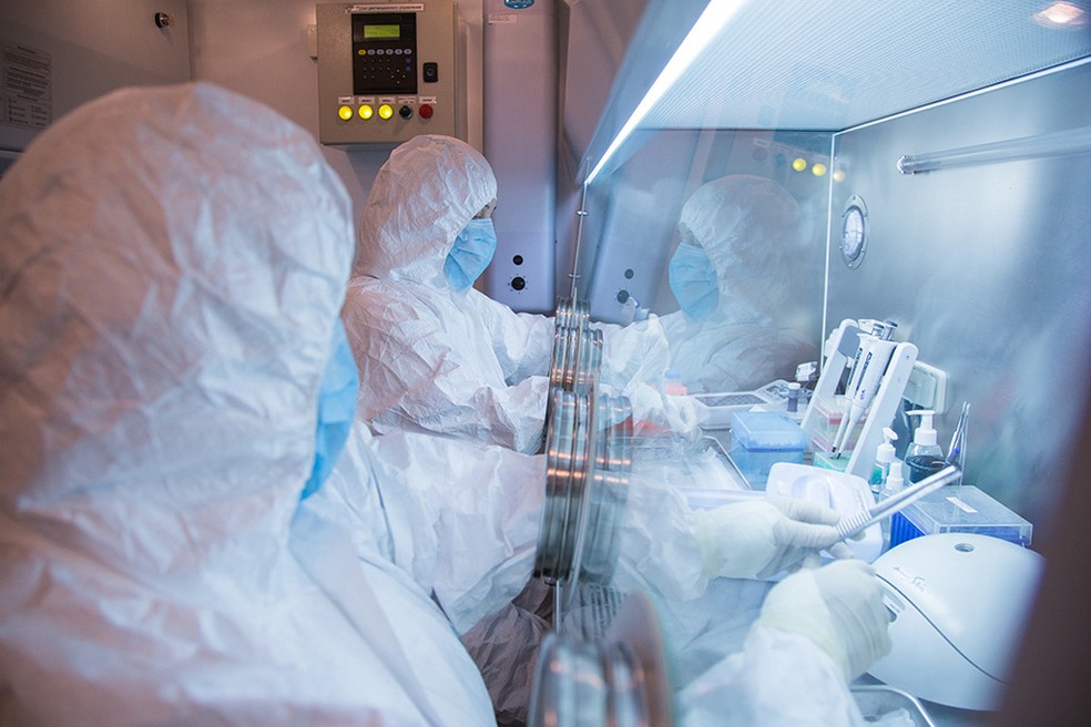 Pesquisadores trabalham em laboratório do Instituto Irkutsk de Pesquisa Antipraga da Sibéria e do Oriente, em imagem de 2019. — Foto: Instituto Irkutsk de Pesquisa Antipraga da Sibéria e do Oriente via AP