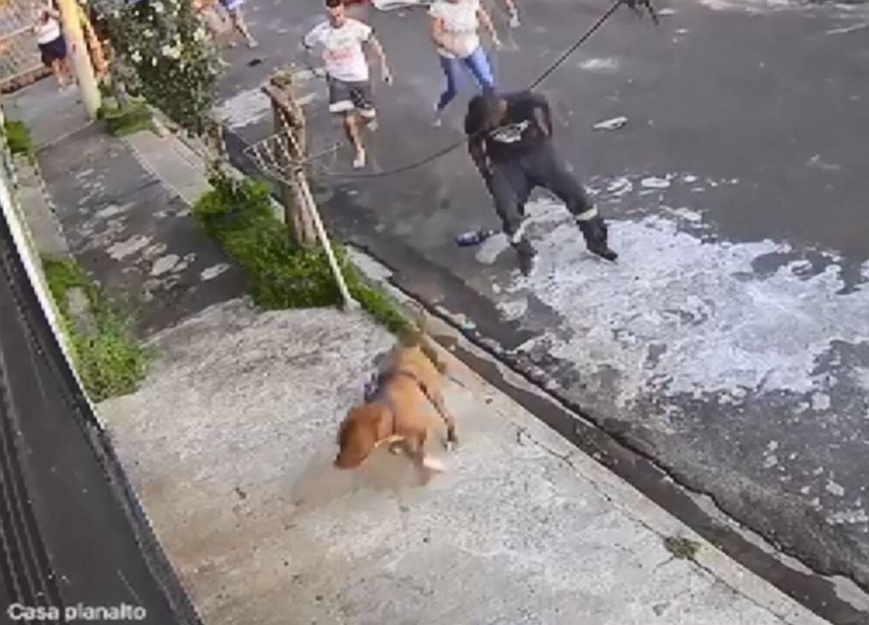 Pai de menino atacado por cão pitbull lembra socorro: 'Achei que tinha matado meu filho'