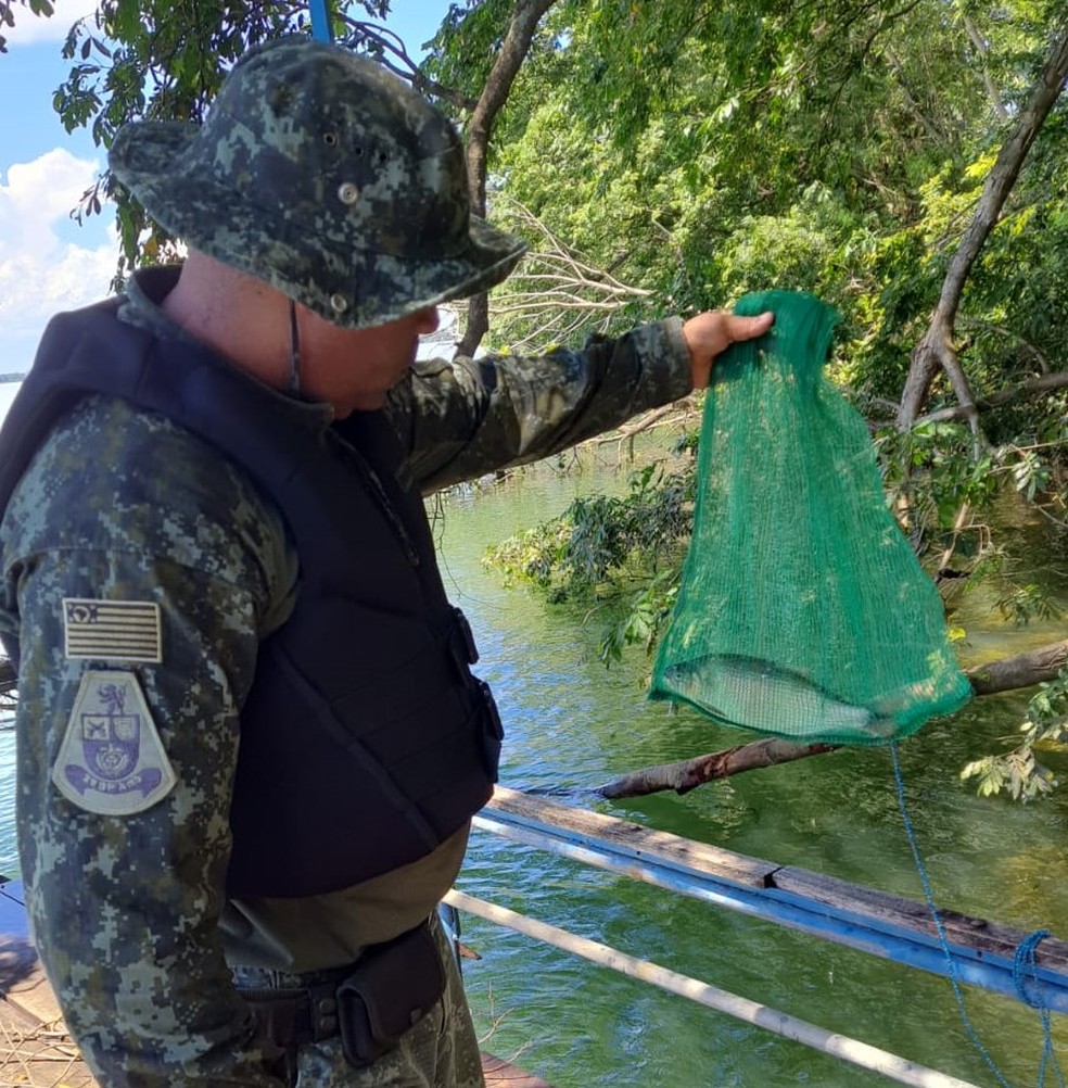 Pescador foi multado em R$ 2 mil e responderá criminalmente por capturar peixe ameaçado de extinção, em Rosana (SP) — Foto: Polícia Militar Ambiental