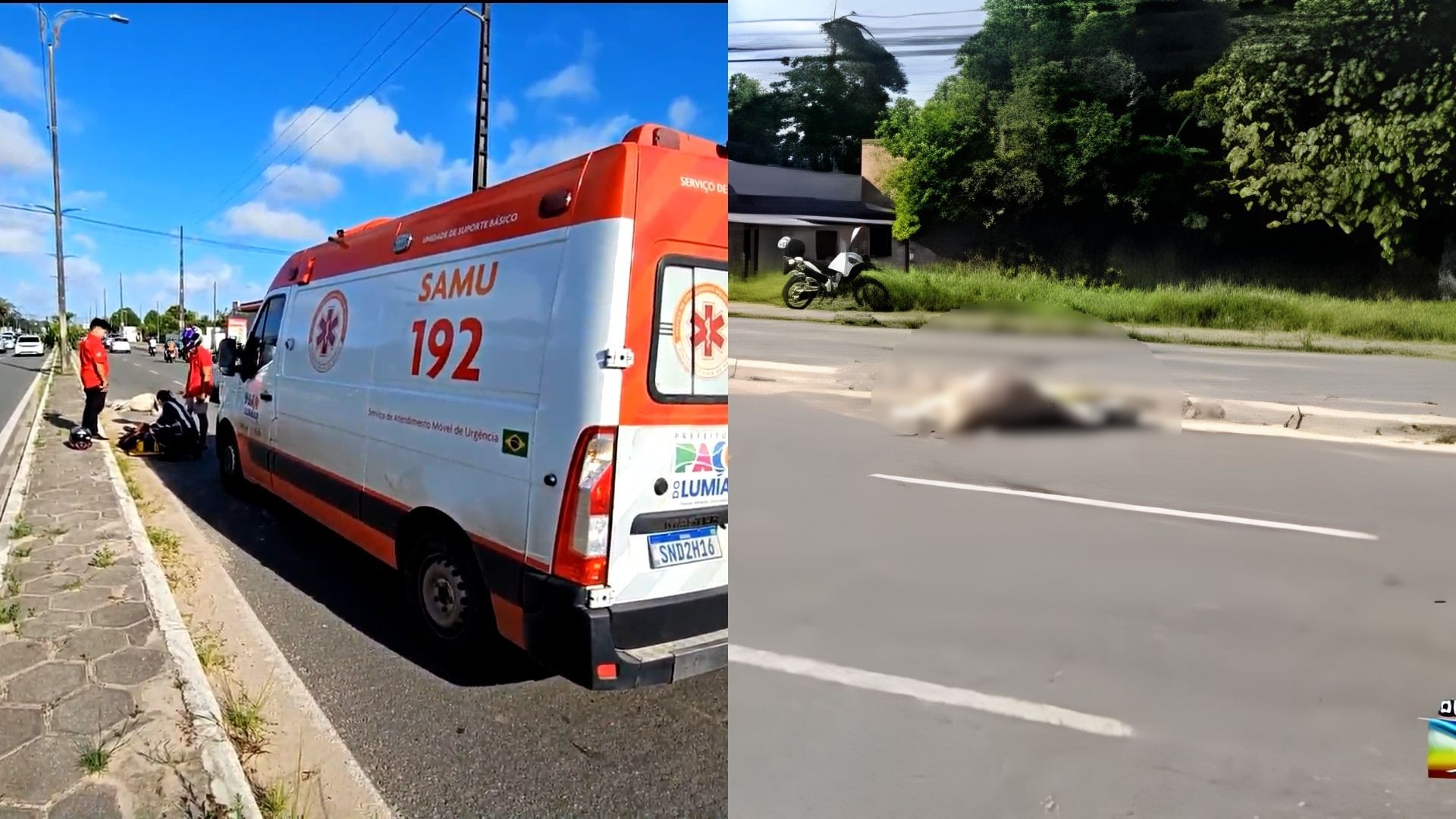 Motociclista e passageiro ficam feridos após colisão com jumento na Grande São Luís; animal morreu