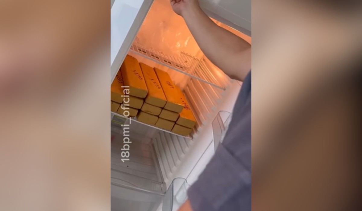 Vistoria em apartamento revela 'estoque' de maconha em geladeira e pistola municiada em Presidente Prudente