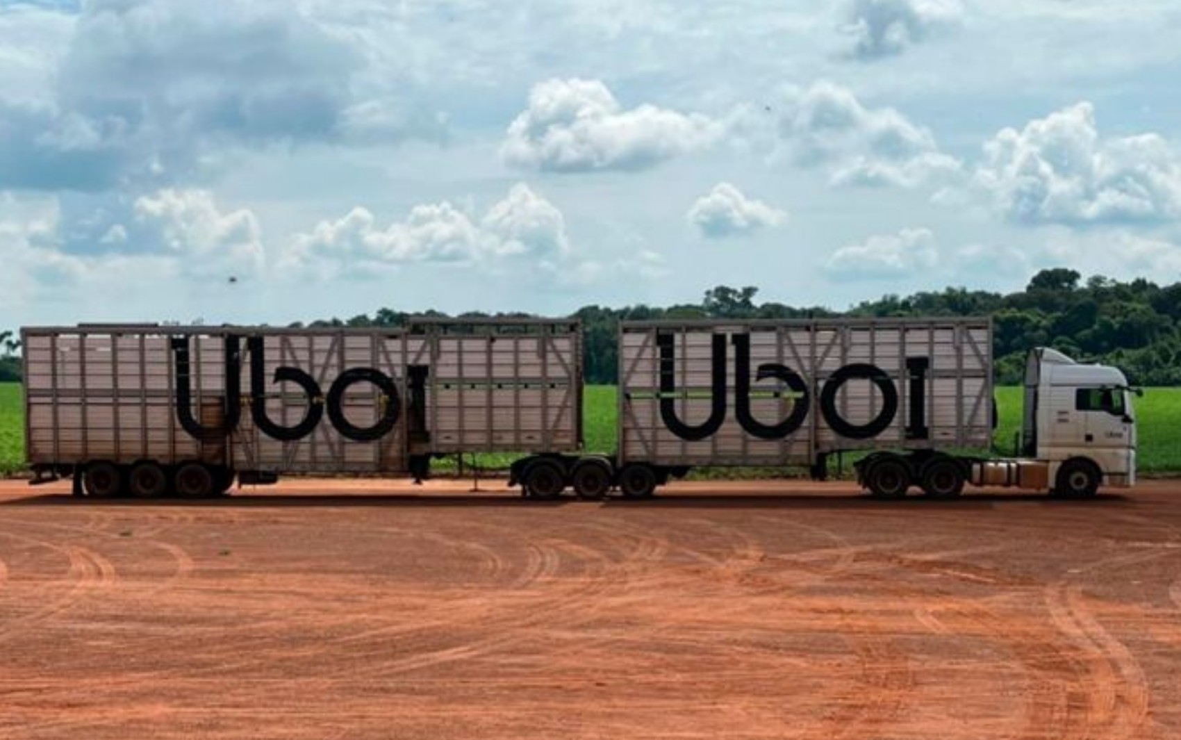 'Uber do Boi': veja aposta da JBS que já transportou cerca de 9 milhões de animais