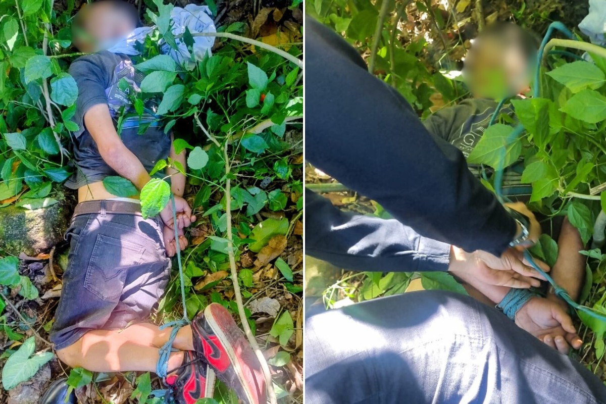 Idoso é achado vivo, amordaçado e com braços e pernas amarrados em mata de São Paulo