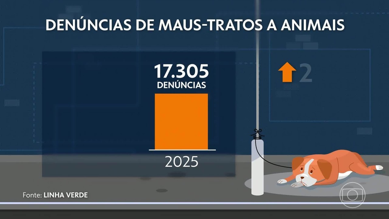 Linha Verde recebe mais de 2 mil denúncias de maus-tratos a cães e gatos em janeiro no RJ; 2025 teve recorde de registros
