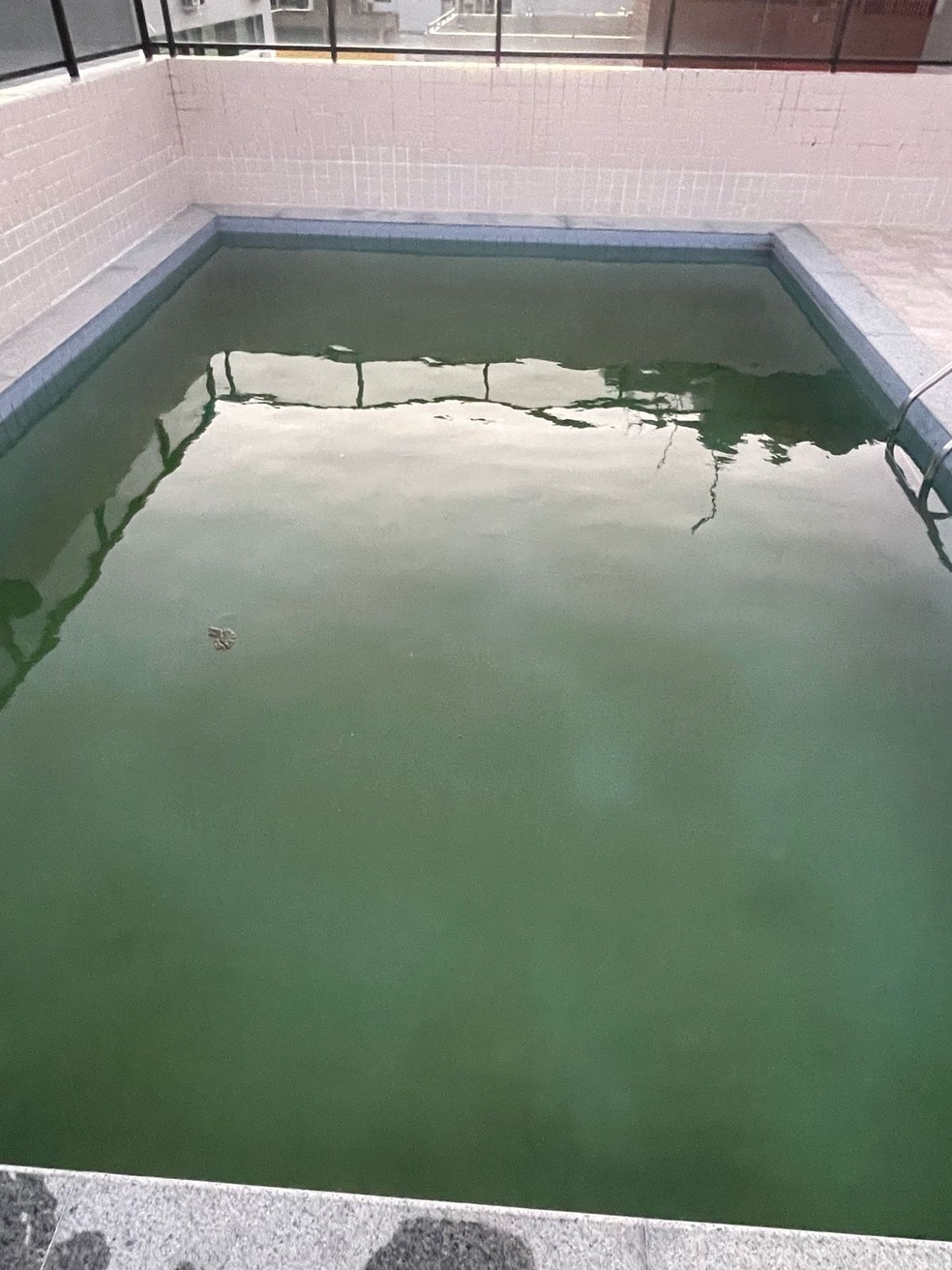 Piscina de prédio em que família de bebê mora em Maceió tinha larvas do mosquito da dengue — Foto: Arquivo pessoal