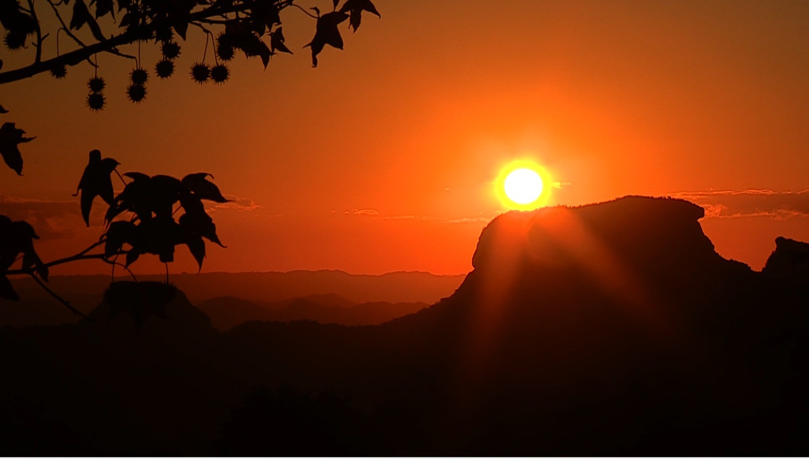 Conheça a fauna da Mantiqueira e a tentativa de recorde de caiaques no Rio Piracicaba