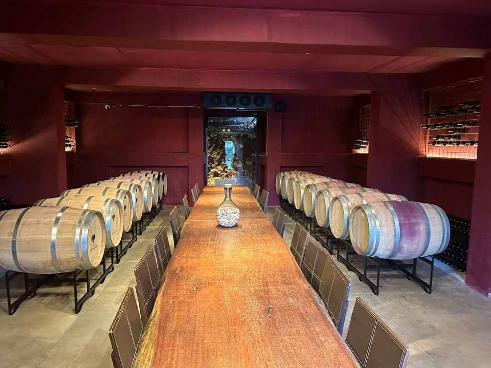 Produção de vinhos da Villa Triacca. — Foto: Divulgação/Vinícola Brasília