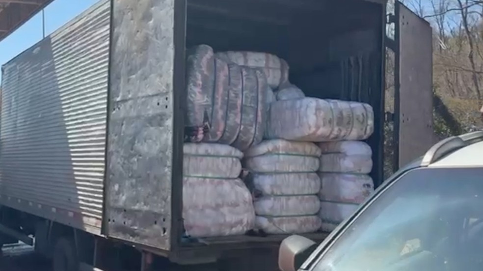 Operação Cérebus apreende mercadorias e droga em Corumbá (MS). — Foto: Divulgação/ Receita Federal