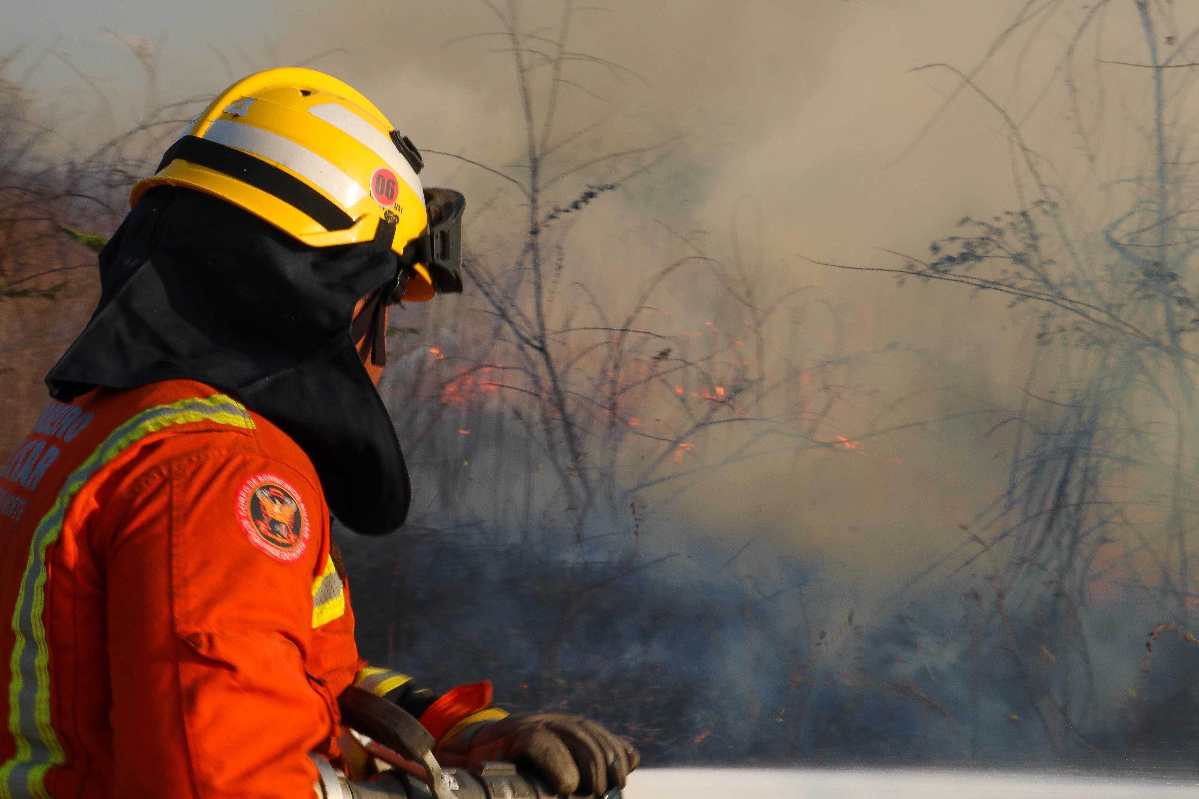 VÍDEO: Bombeiros combatem incêndio florestal há mais de 24 horas em Apodi