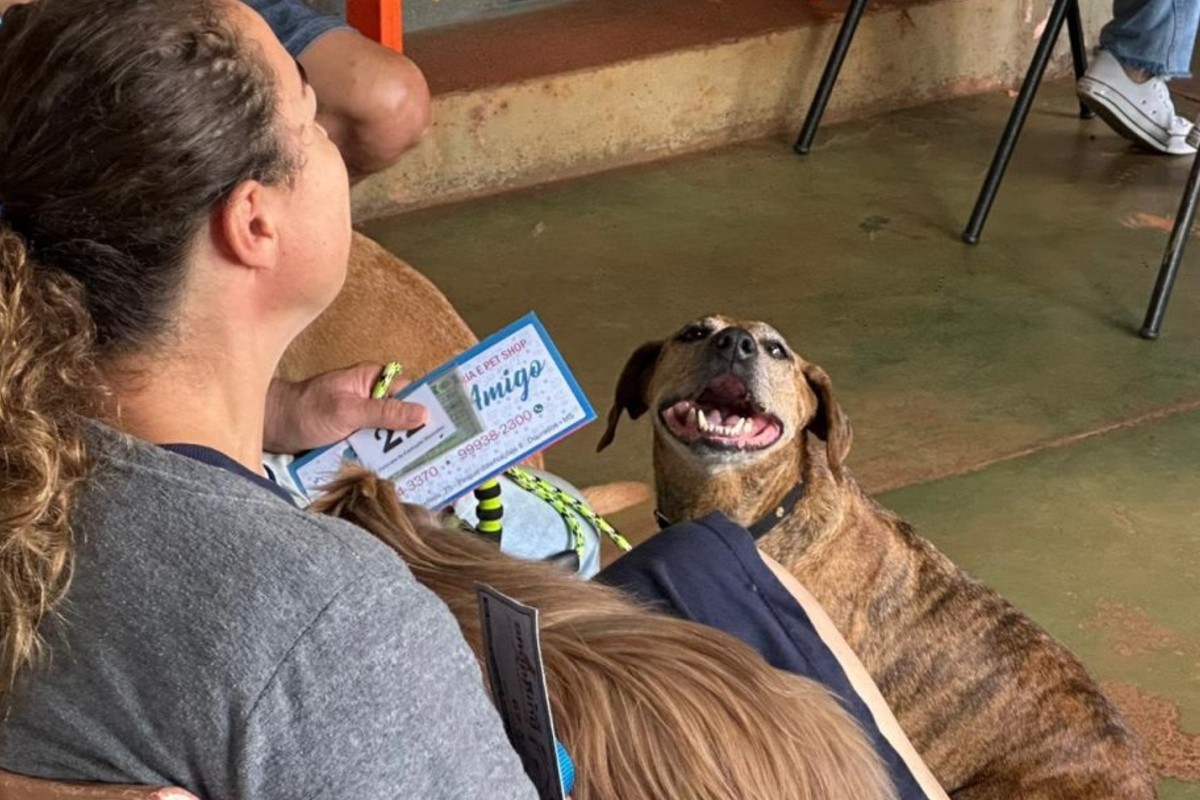 Caravana da Castração leva serviços a pets do interior de MS; veja calendário