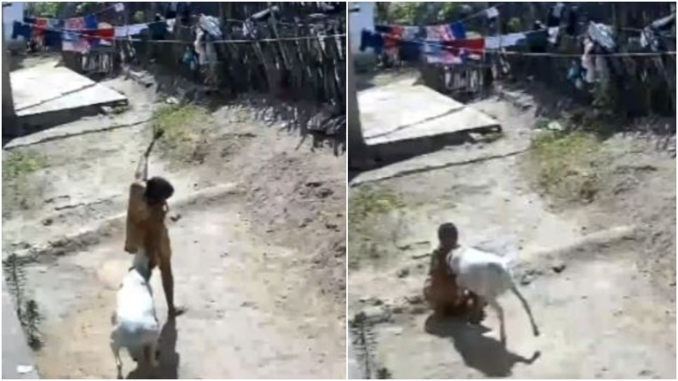 Mulher foi socorrida por vizinhos após ser derrubada no chão em ataque de carneiro. — Foto: Reprodução