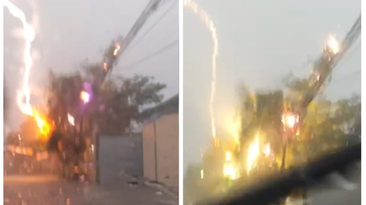 Repórter flagra raio atingindo árvore durante temporal em São Gonçalo; VÍDEO