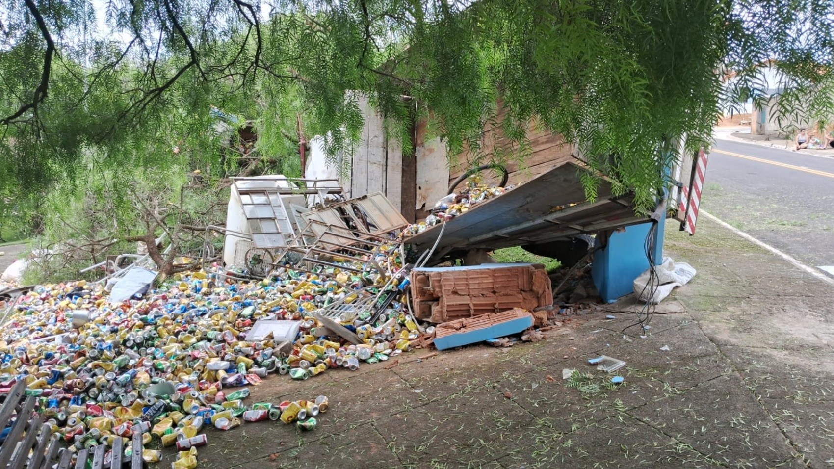 VÍDEO: Caminhão com reciclagem perde freios ao descer morro e atinge árvore em praça, em MG