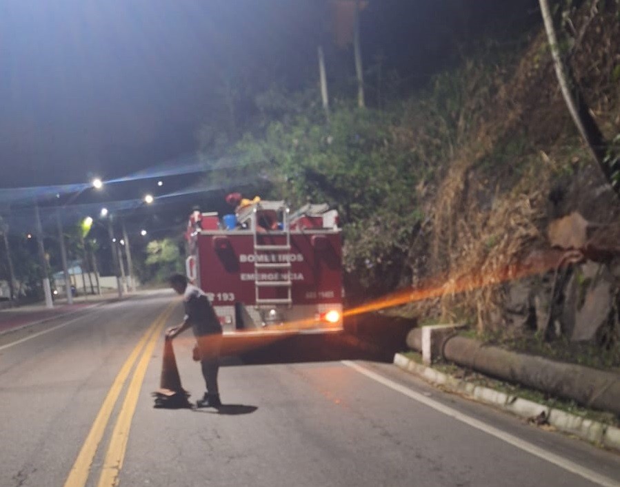 Ventos fortes derrubam árvores em São Sebastião, SP