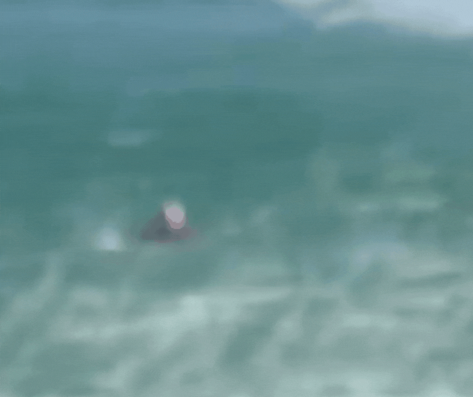 Turista norte-americano é arrastado por correnteza no mar e salvo por helicóptero em SC; vídeo