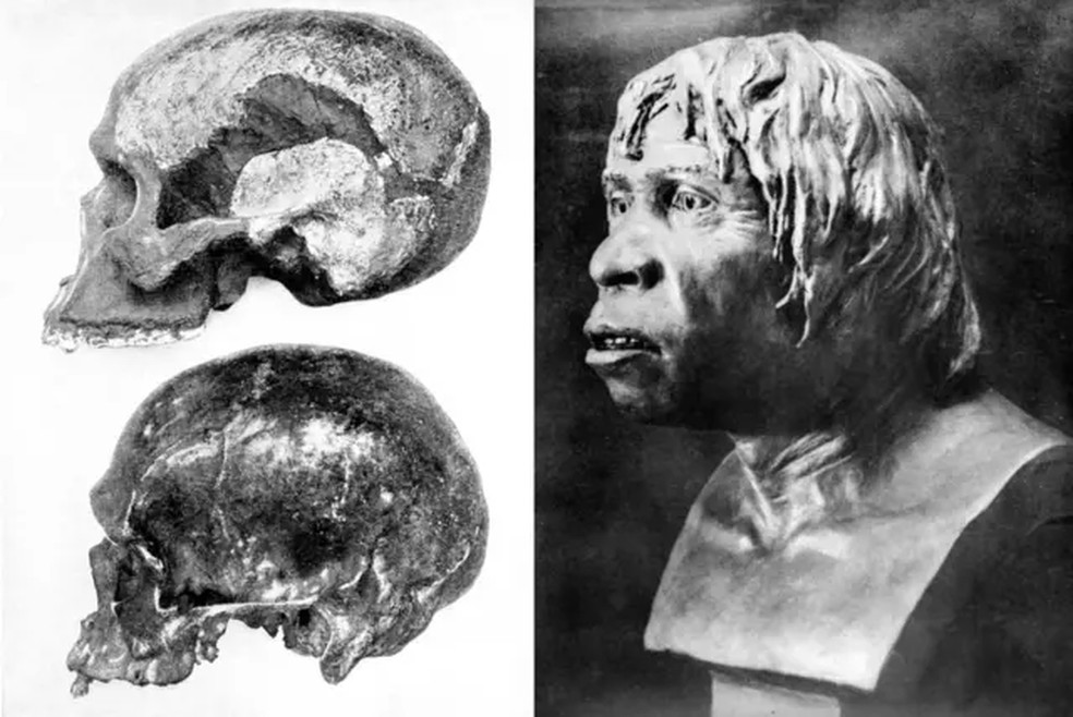 O Homem de Piltdown sugeriu que o berço da humanidade poderia estar nas Ilhas Britânicas, mas isso acabou se revelando uma farsa engenhosa, descoberta somente em 1953 — Foto: Getty Images via BBC