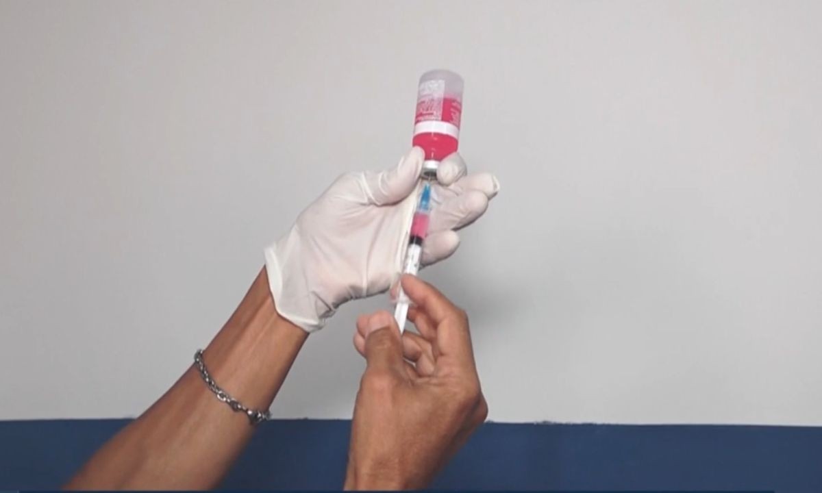 Prefeitura emite alerta epidemiológico após cachorro ser diagnosticado com raiva em Salvador