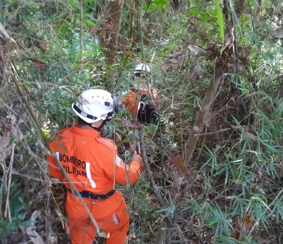 Mulher estava em região de mata em Porto Seguro — Foto: Corpo de Bombeiros