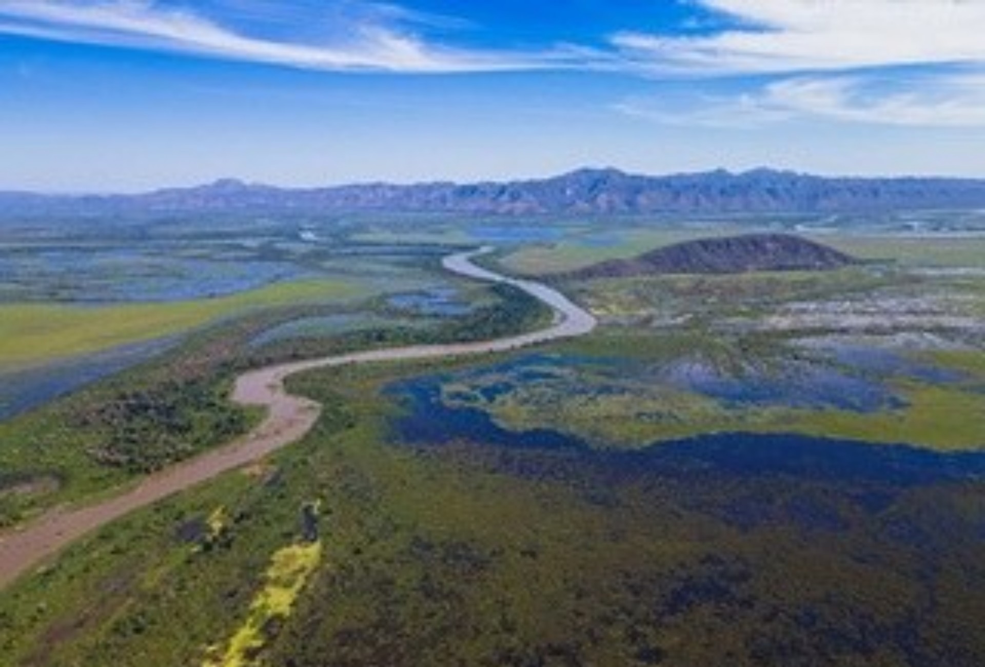 Pantanal sob risco: MPF exige R$ 300 milhões de indústrias por contaminação com agrotóxicos