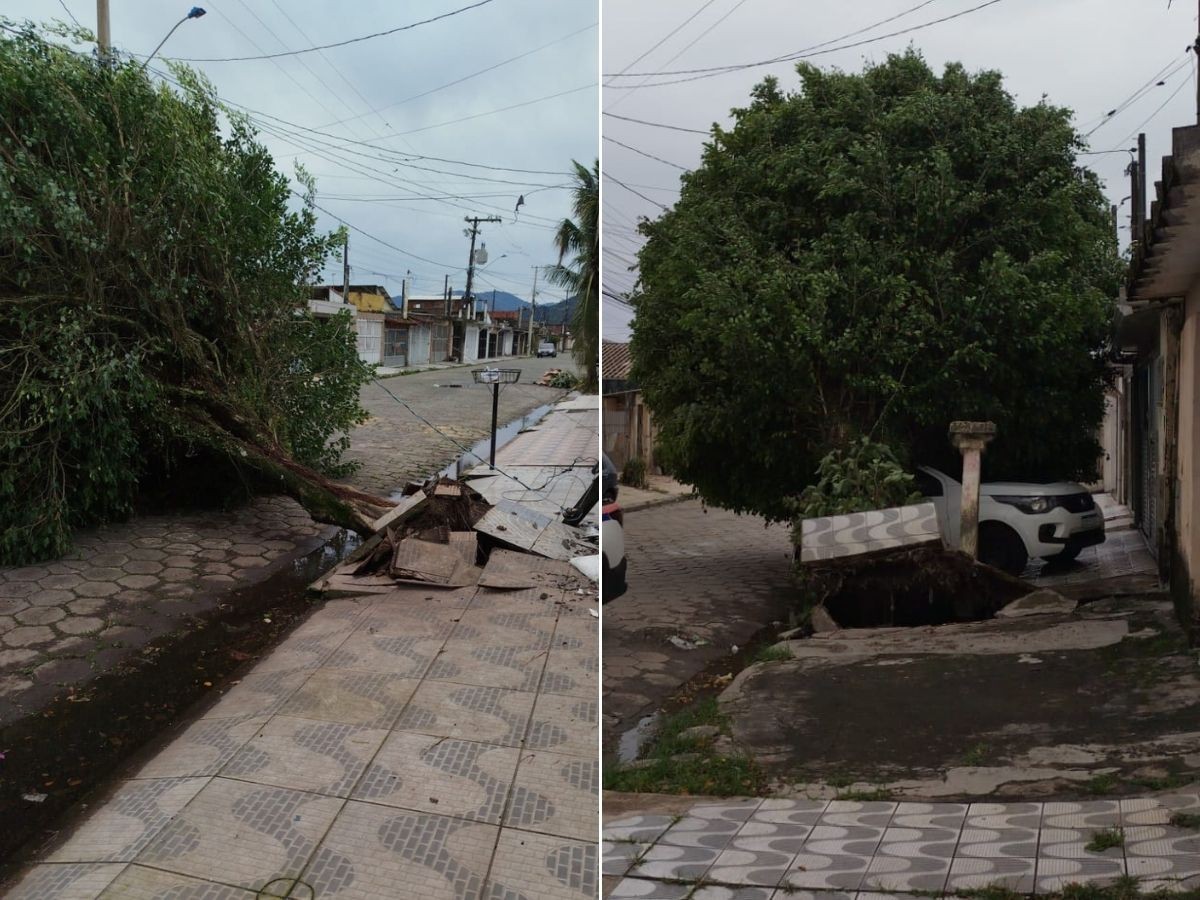 Forte ventania com rajadas de até 93 km/h derruba árvores e causa estragos na Baixada Santista