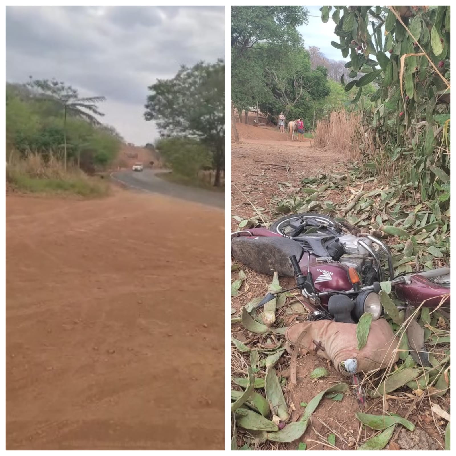 Vendedor ambulante que seguia de moto pela MG-308 morre ao passar direto em curva