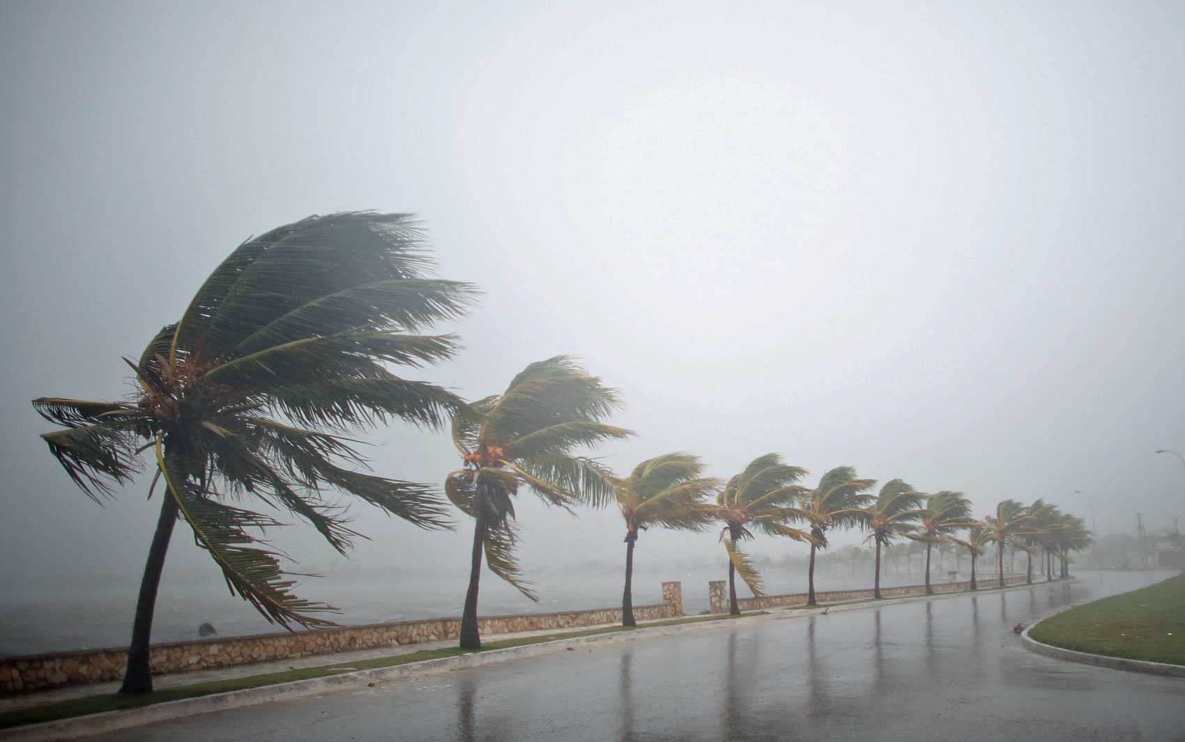 Alerta de vendaval: ventos fortes se aproximam de 11 cidades